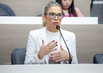 Ex-secretária municipal Andrea Schneider Pascoal compareceu como testemuha. Daniele Souza/CMNH