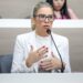 Ex-secretária municipal Andrea Schneider Pascoal compareceu como testemuha. Daniele Souza/CMNH