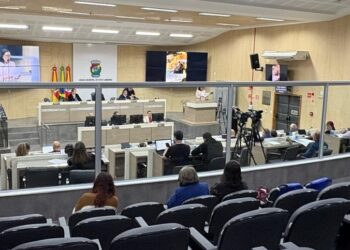 Muro da vergonha: milhares de reais para separar vereadores da comunidade
