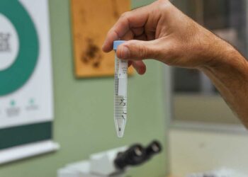 Análises de amostras e elaboração do boletim são feitas na Feevale. Andrieli Siqueira/Universidade Feevale