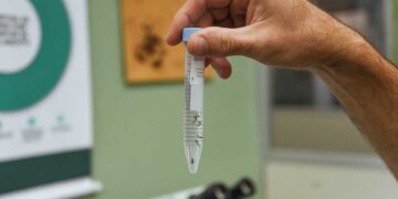 Análises de amostras e elaboração do boletim são feitas na Feevale. Andrieli Siqueira/Universidade Feevale