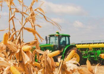Na agropecuária, o desempenho do segundo trimestre foi impulsionado pela recuperação da safra em relação a 2025. Divulgação
