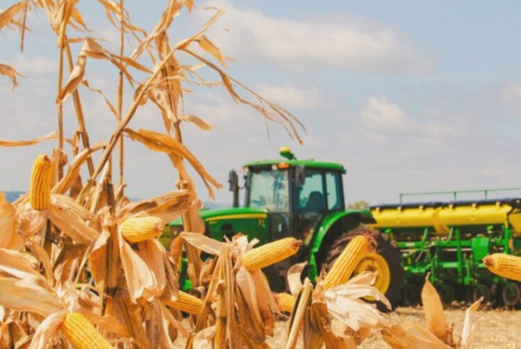 Na agropecuária, o desempenho do segundo trimestre foi impulsionado pela recuperação da safra em relação a 2025. Divulgação