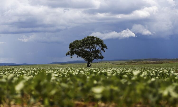 Agência Brasil