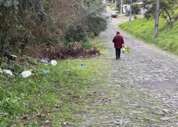 Desagradável rotina: com mato avançando, moradores circulam no meio da rua