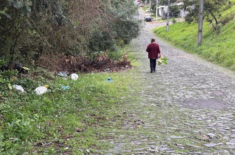 Desagradável rotina: com mato avançando, moradores circulam no meio da rua