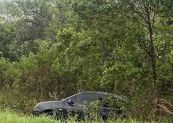 Veículo ficou preso junto à vegetação existente na área verde da alça