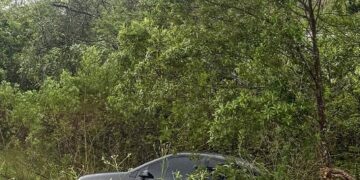 Veículo ficou preso junto à vegetação existente na área verde da alça