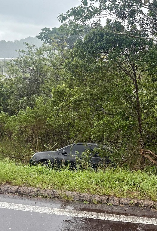Veículo ficou preso junto à vegetação existente na área verde da alça