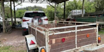 A ocorrência foi registrada na terça-feira (6), por volta das 16 horas. PMNH/Divulgação