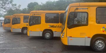 Prefeitura informou, no meio da semana, que os ônibus circularão conforme a tabela de horários de domingo.