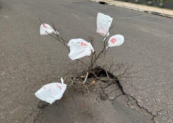 Piso está afundando e oferece risco aos motoristas na Rua Frederico Mentz